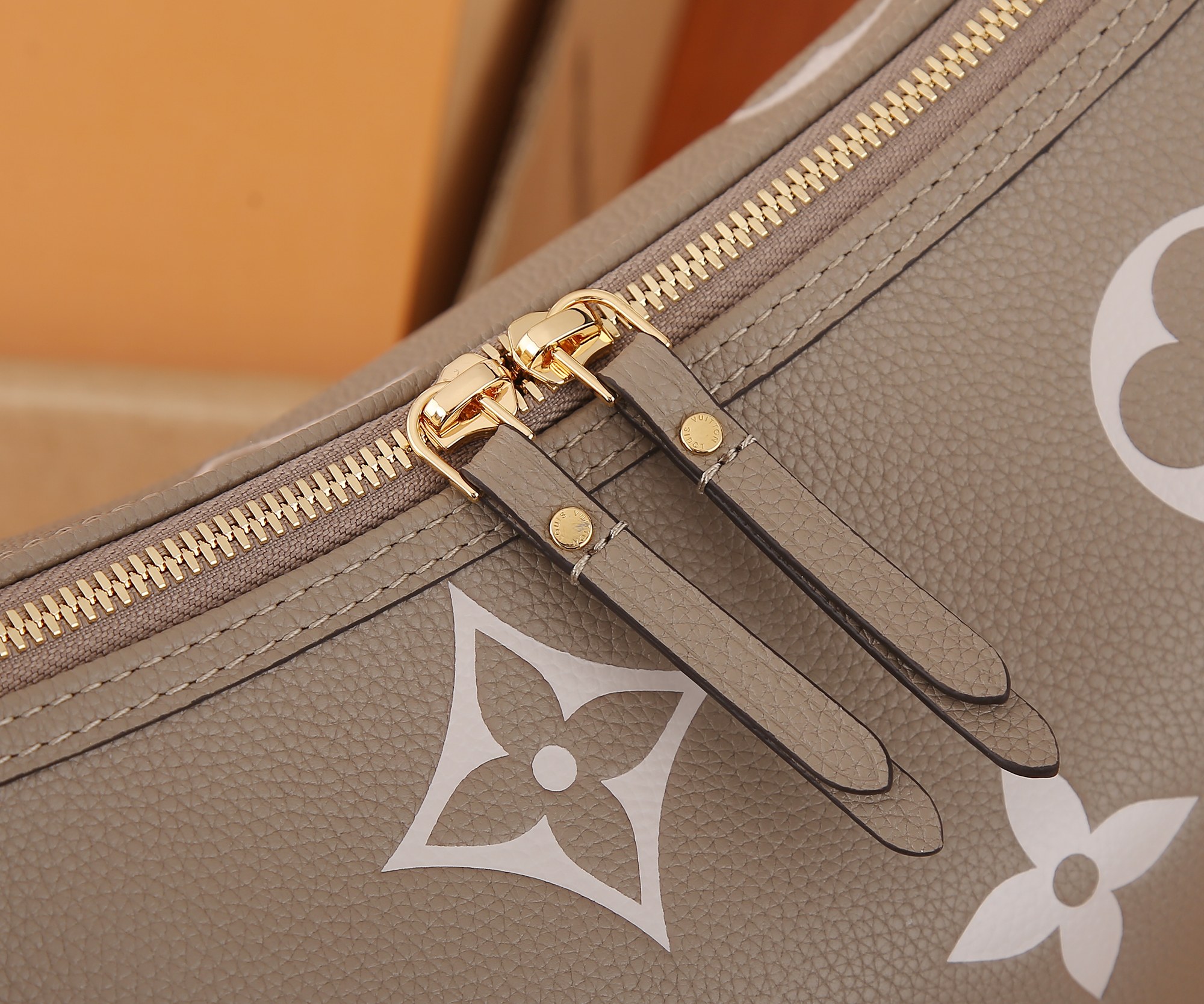 Loop Hobo Bag Bicolor Monogram Empreinte Leather M46738