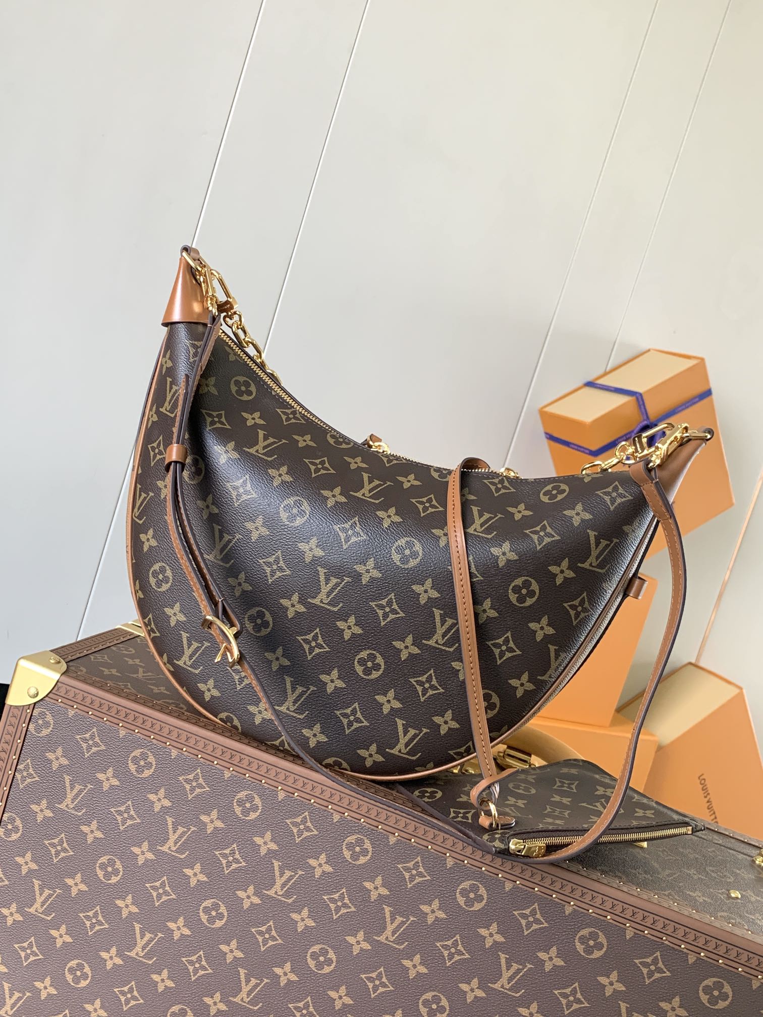 Loop Hobo Bag Monogram M46311