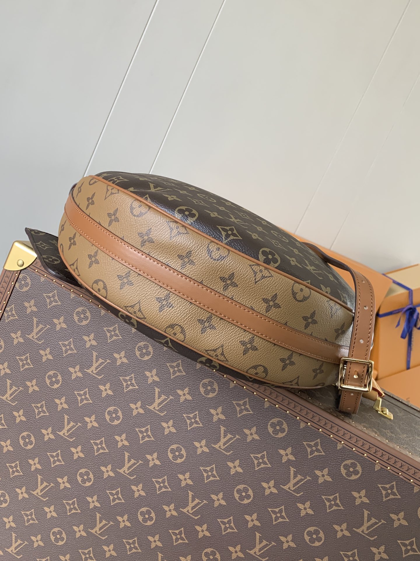 Loop Hobo Bag Monogram M46311