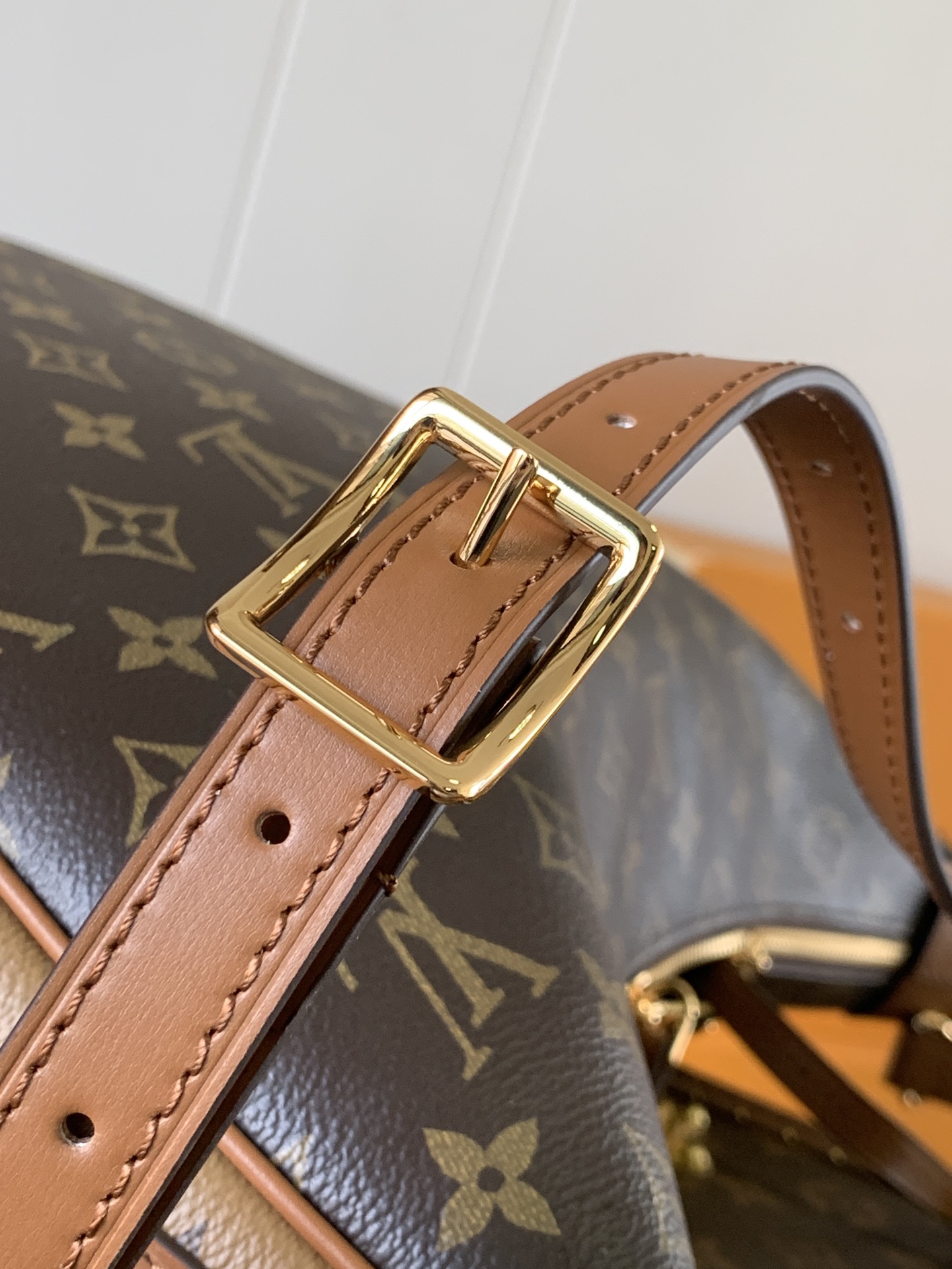 Loop Hobo Bag Monogram M46311