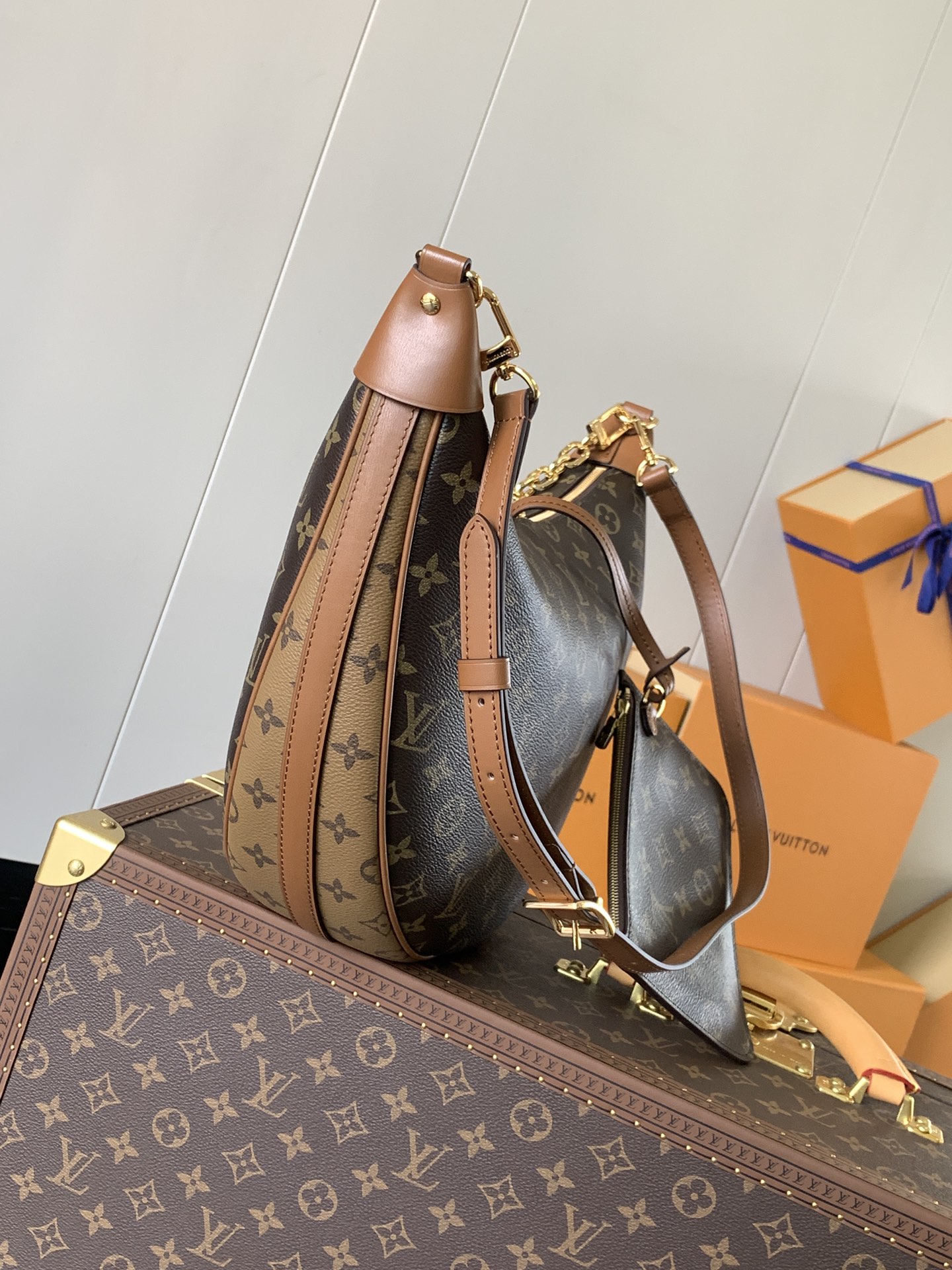 Loop Hobo Bag Monogram M46311