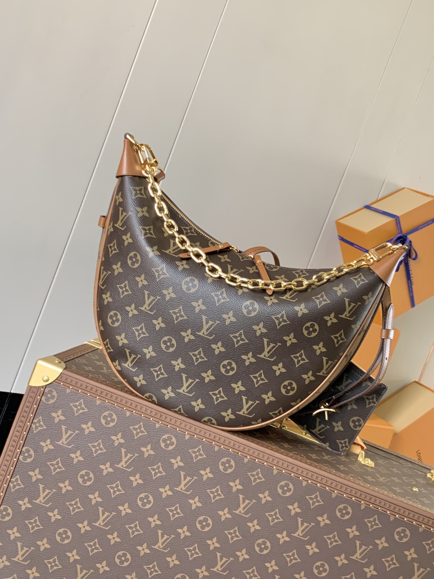 Loop Hobo Bag Monogram M46311