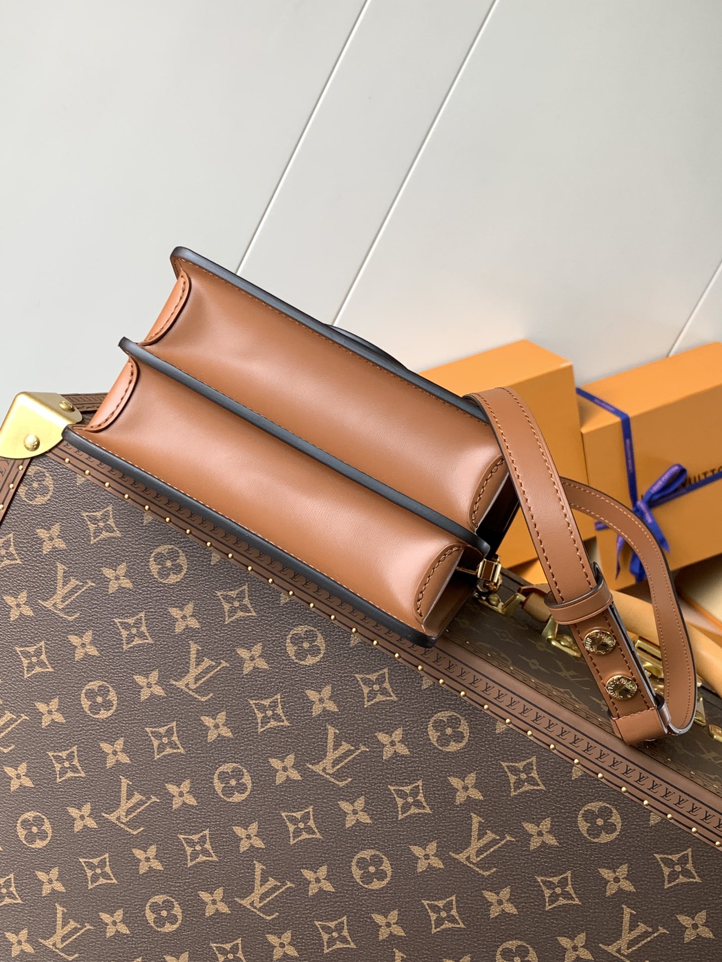 Mini Dauphine Shoulder Bag Monogram Reverse M45959