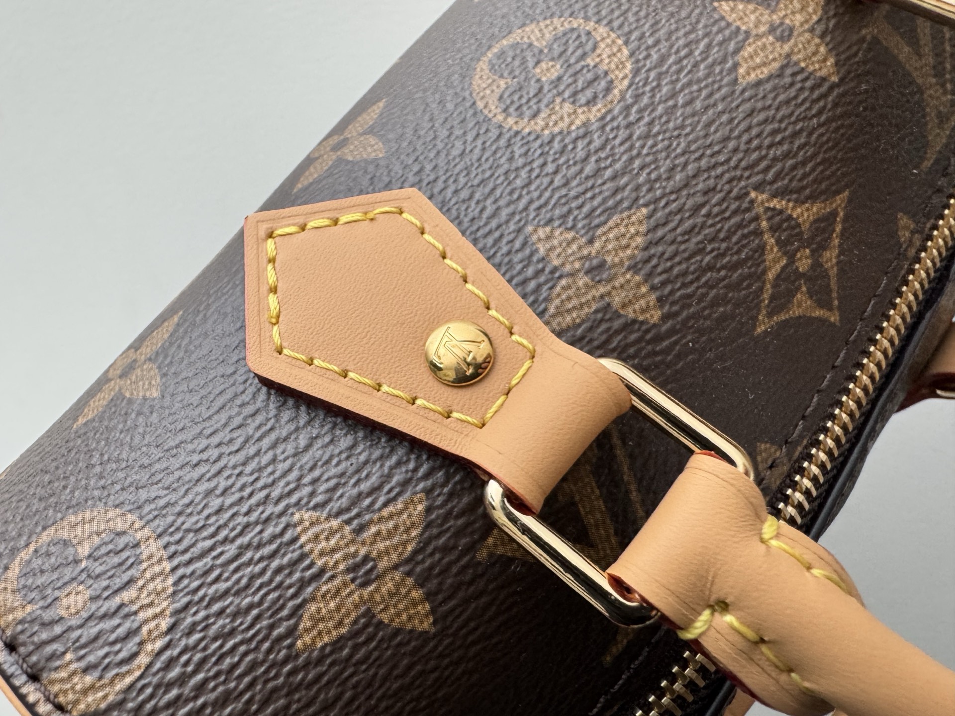 Nano Speedy Dating Monogram Bag M13226