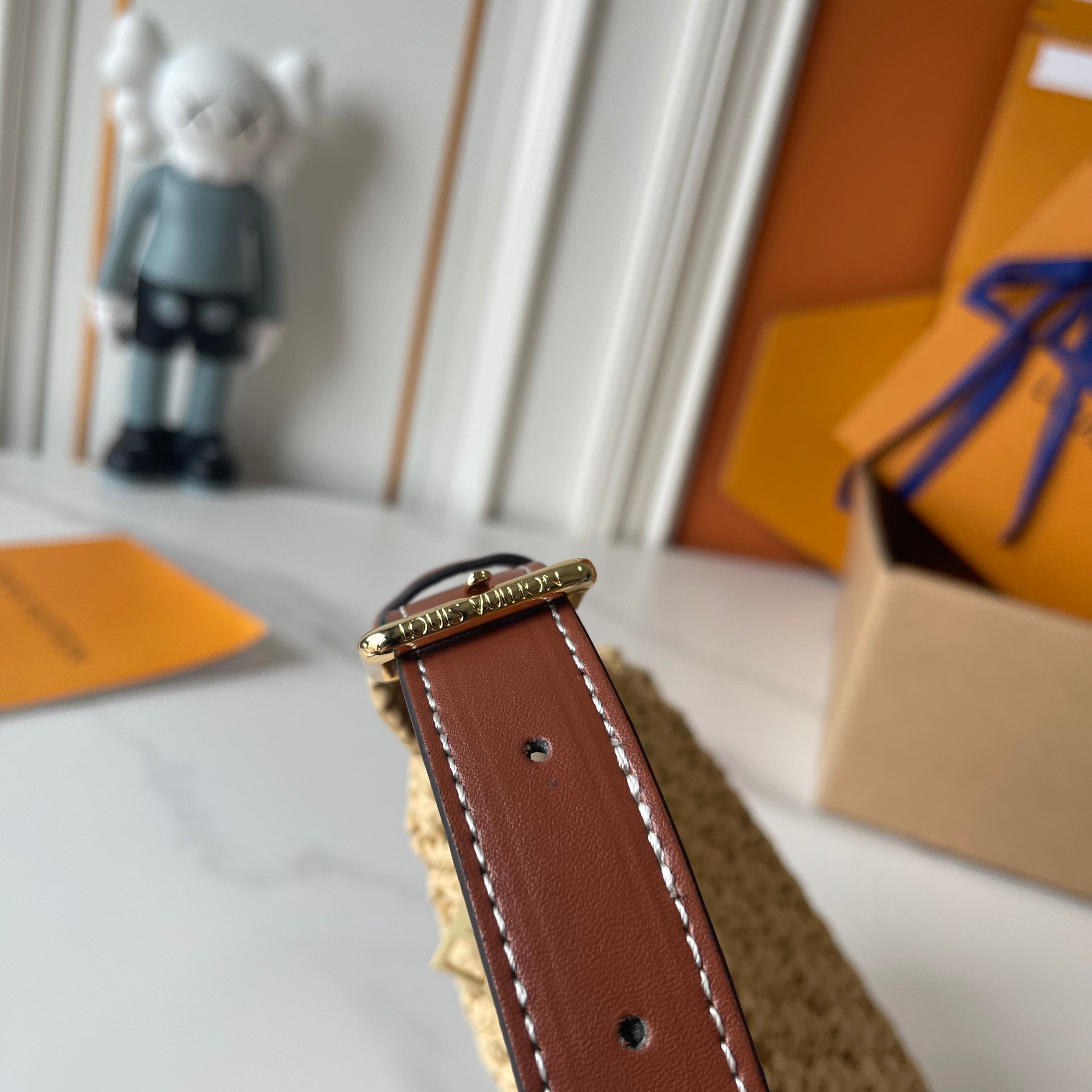 New Luxury LV Bag 11666