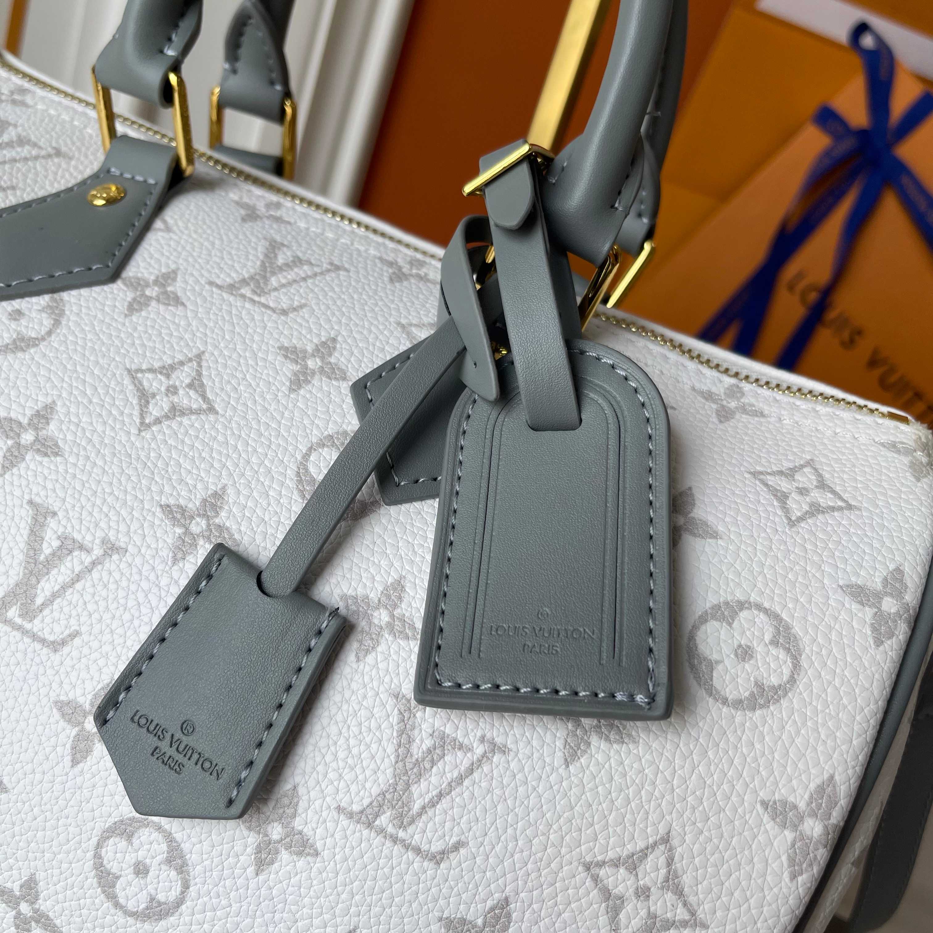 New Luxury LV Bag 11727