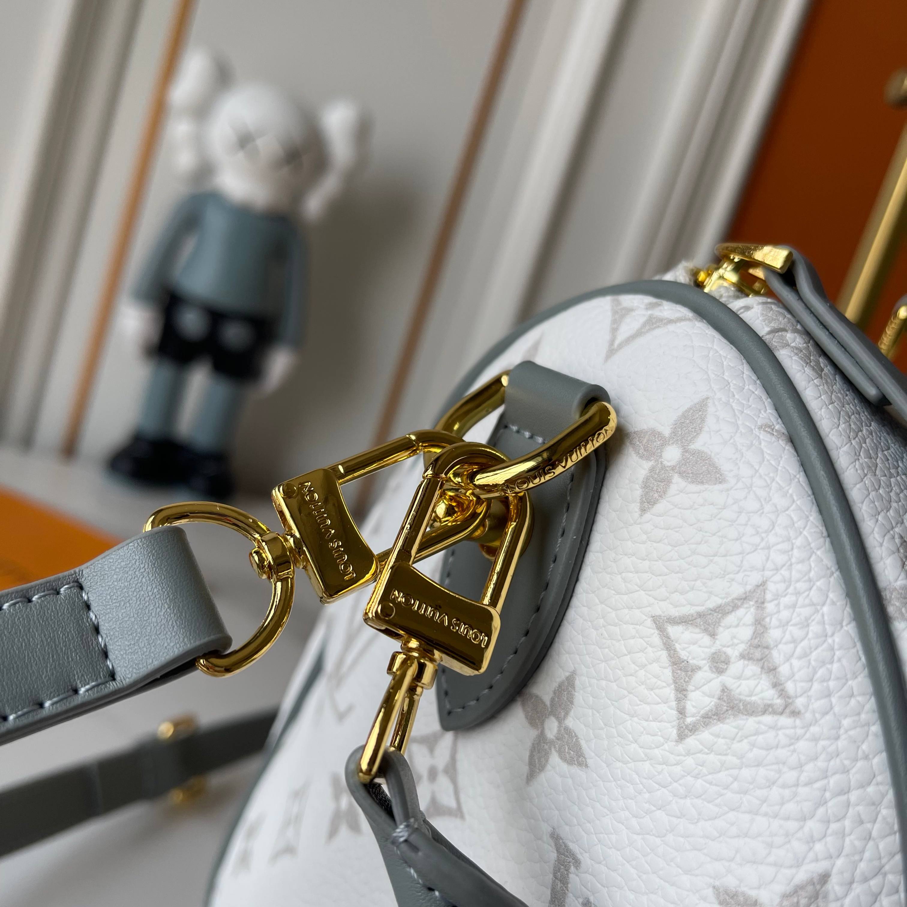 New Luxury LV Bag 11727