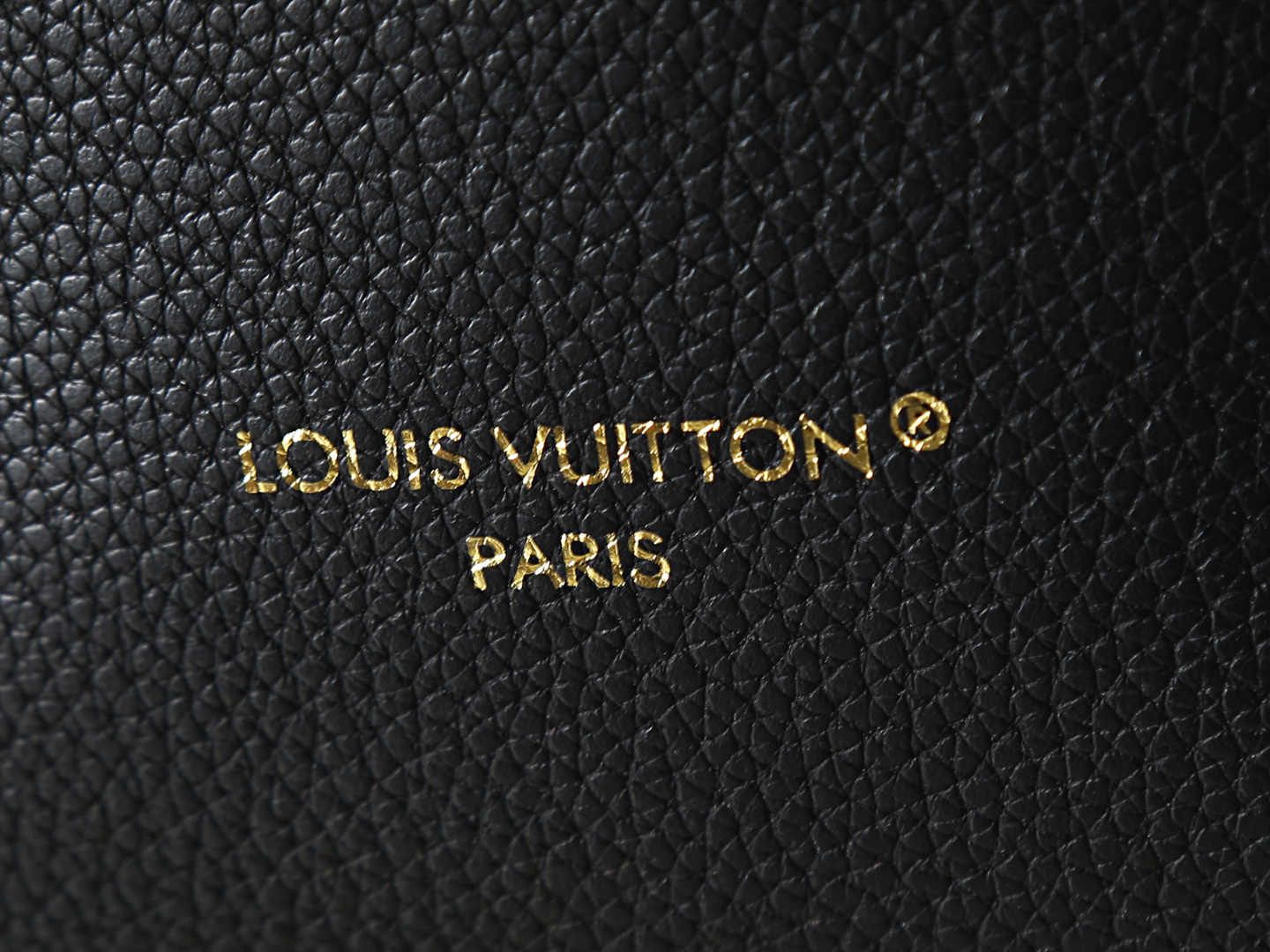 New Luxury LV Bag 11824