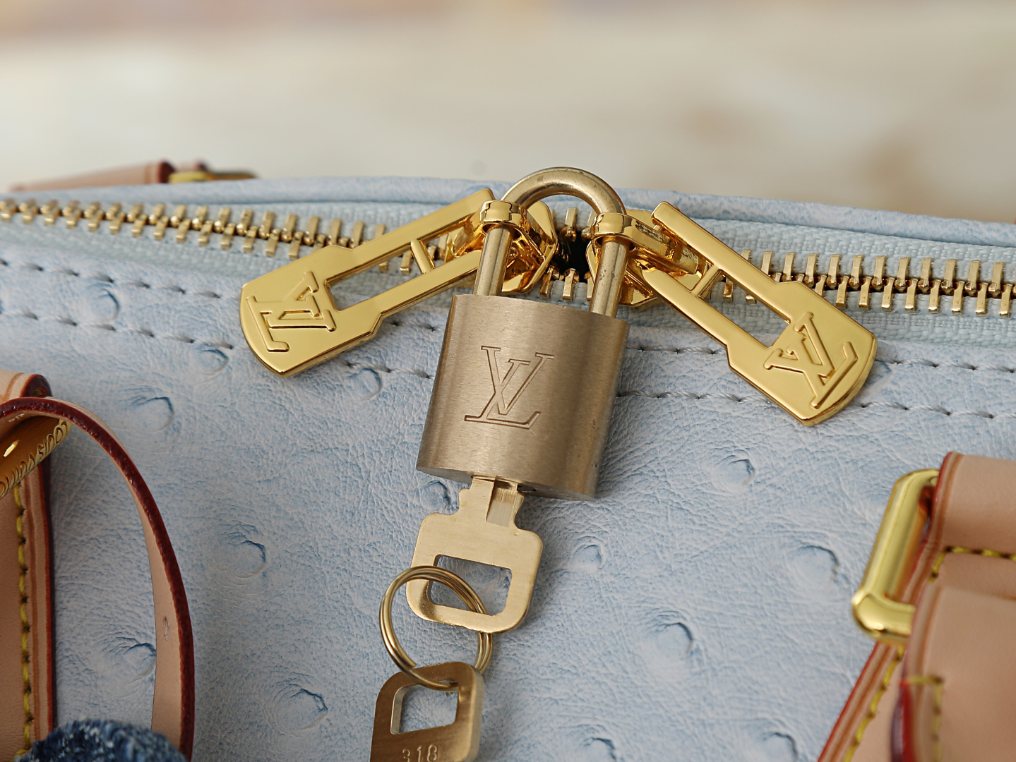 New Luxury LV Bag 11863