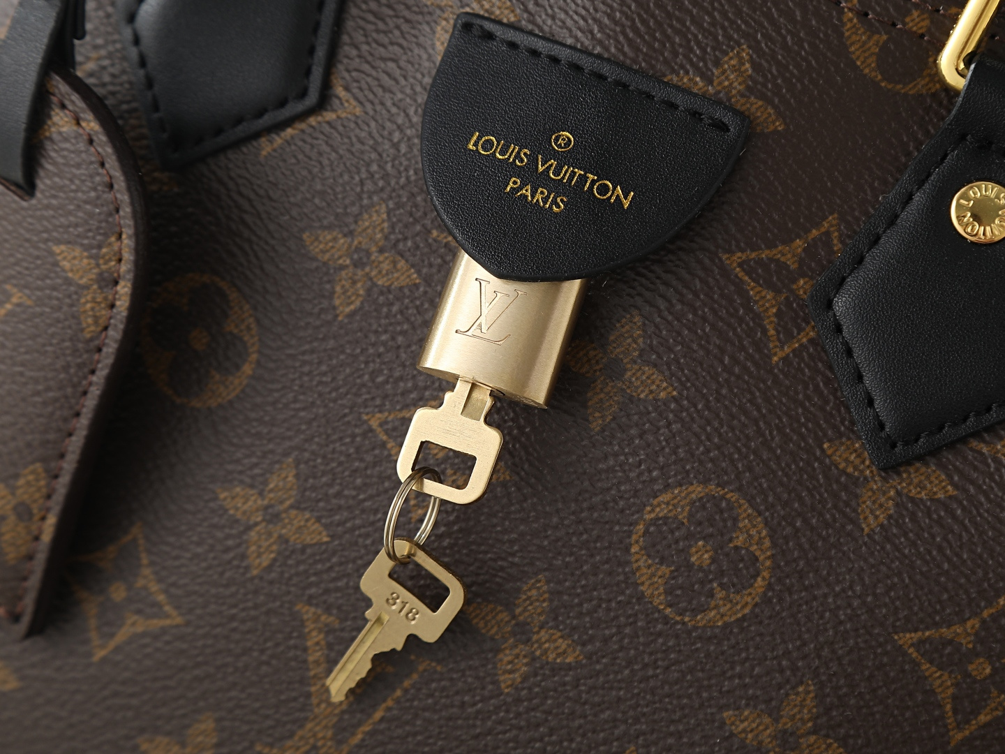 New Luxury LV Bag 11876
