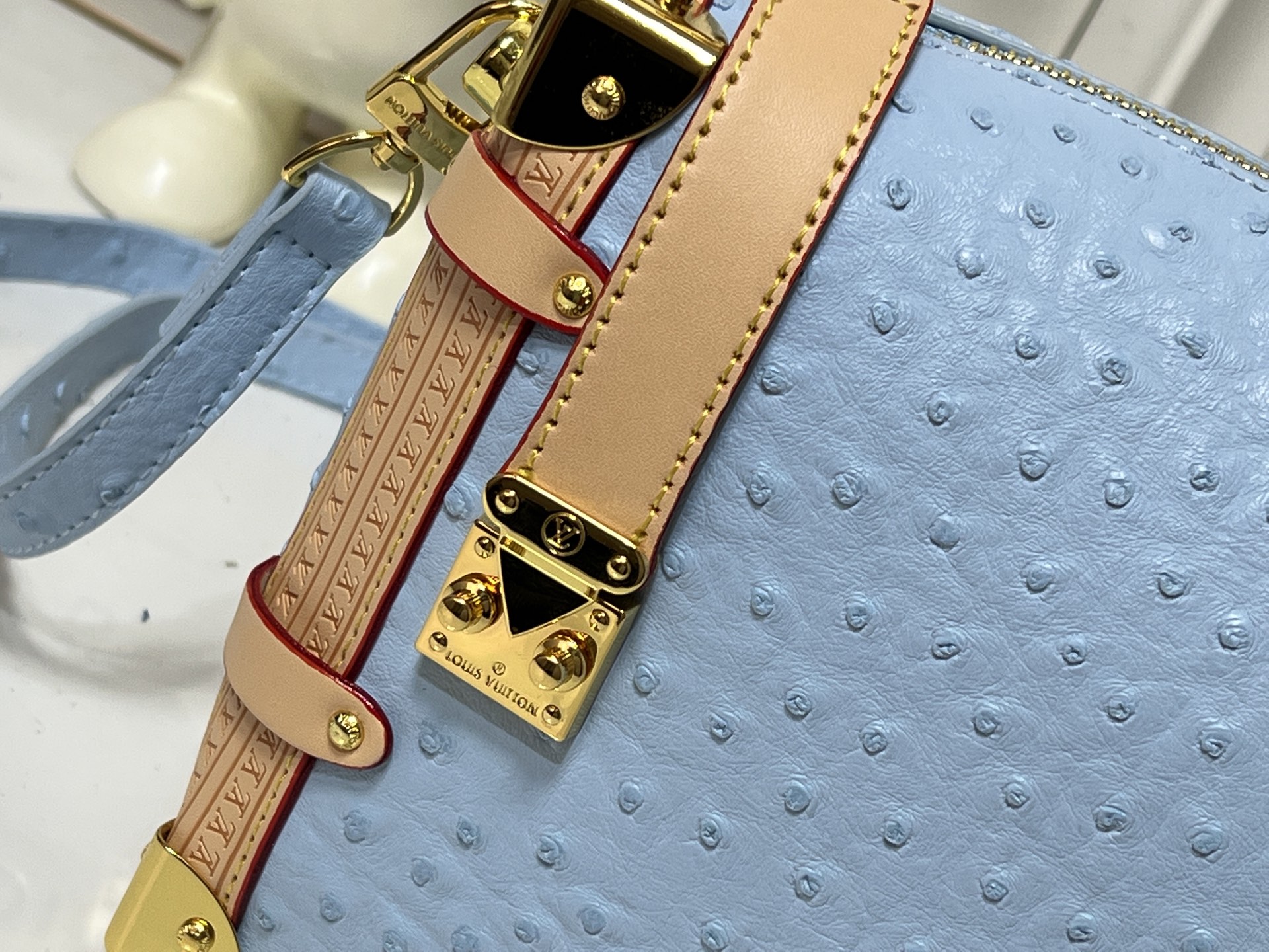 New Luxury LV Bag 11957
