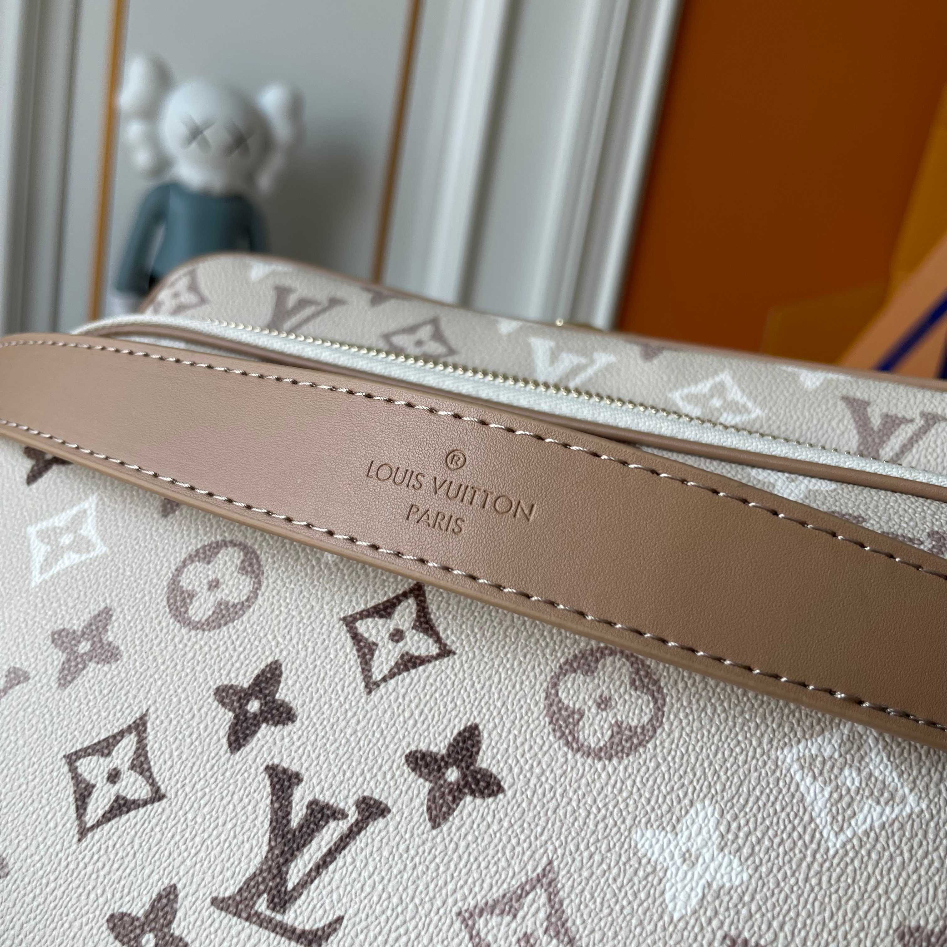 New Luxury LV Bag 12088