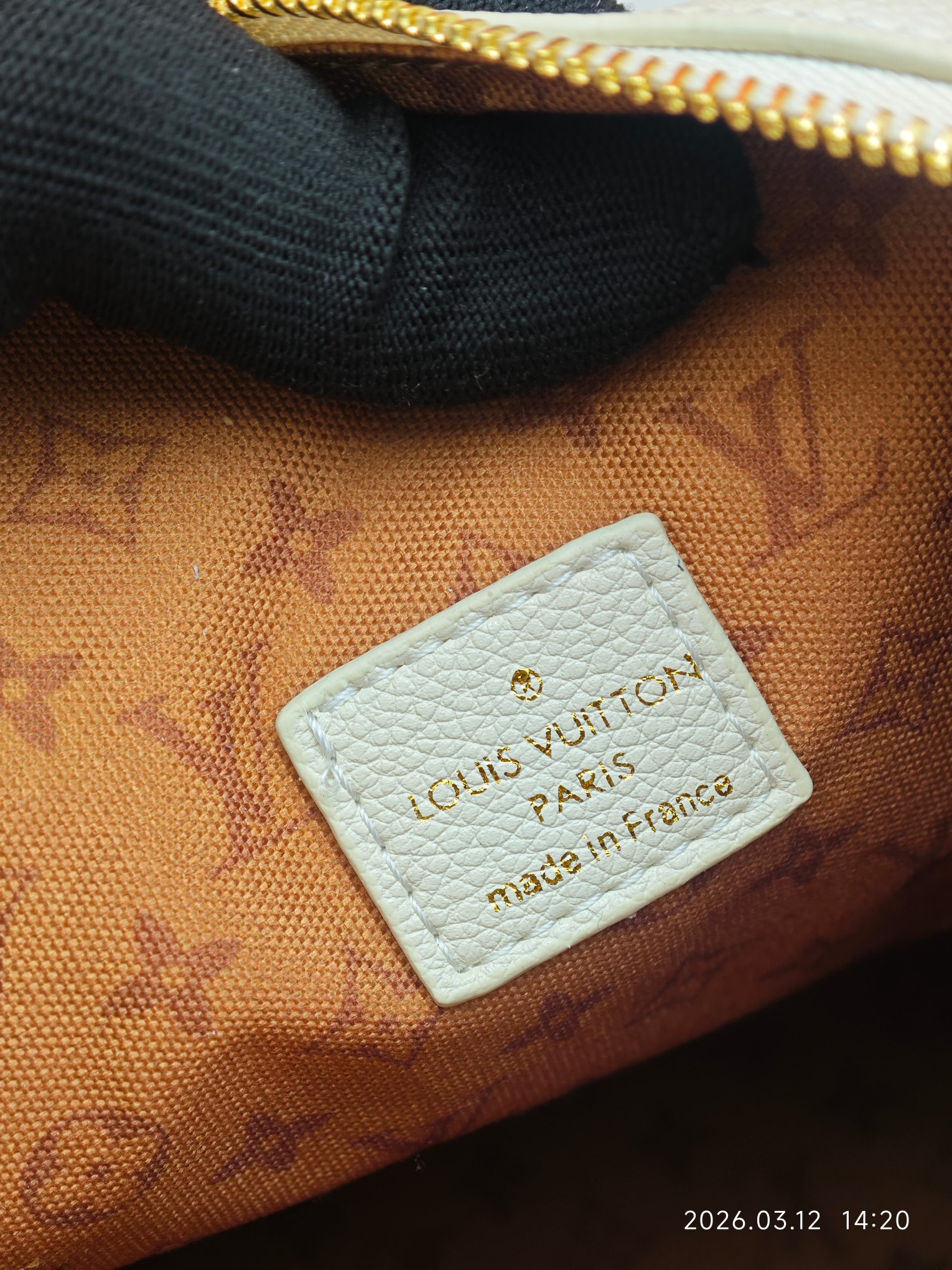 New Luxury LV Bag 12134