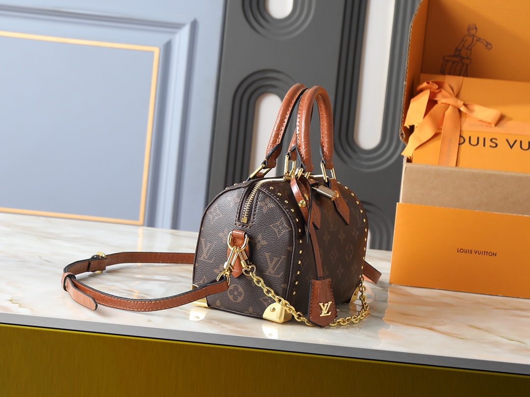 New Luxury LV Bag 12169