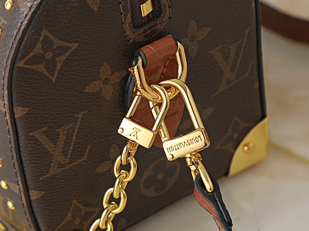 New Luxury LV Bag 12169