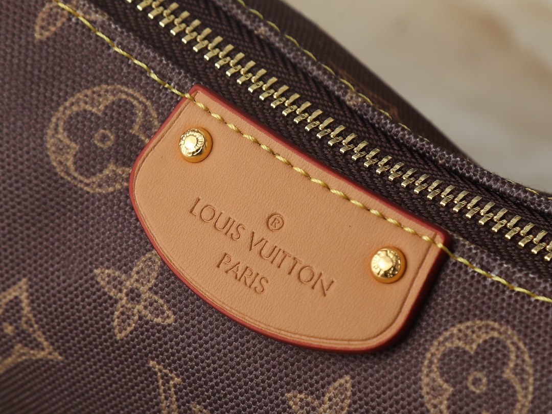 New Luxury LV Bag 12173