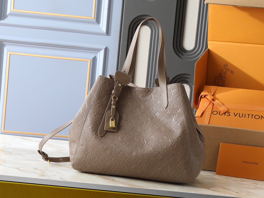 New Luxury LV Bag 12197