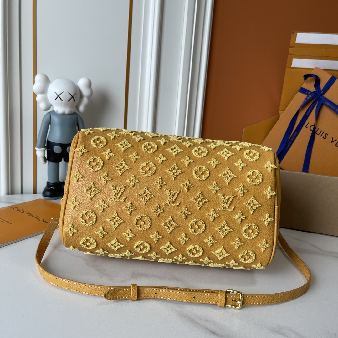 New Luxury LV Bag 12289