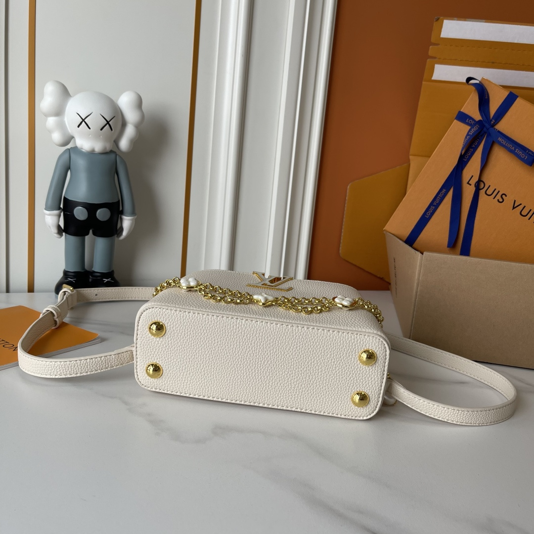 New Luxury LV Bag 12301