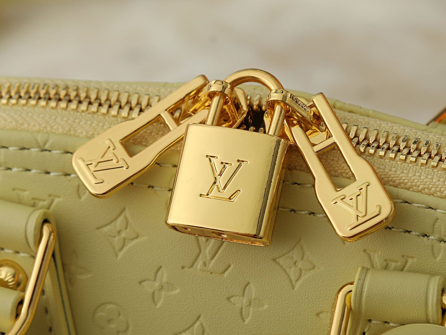 New Luxury LV Bag 12441