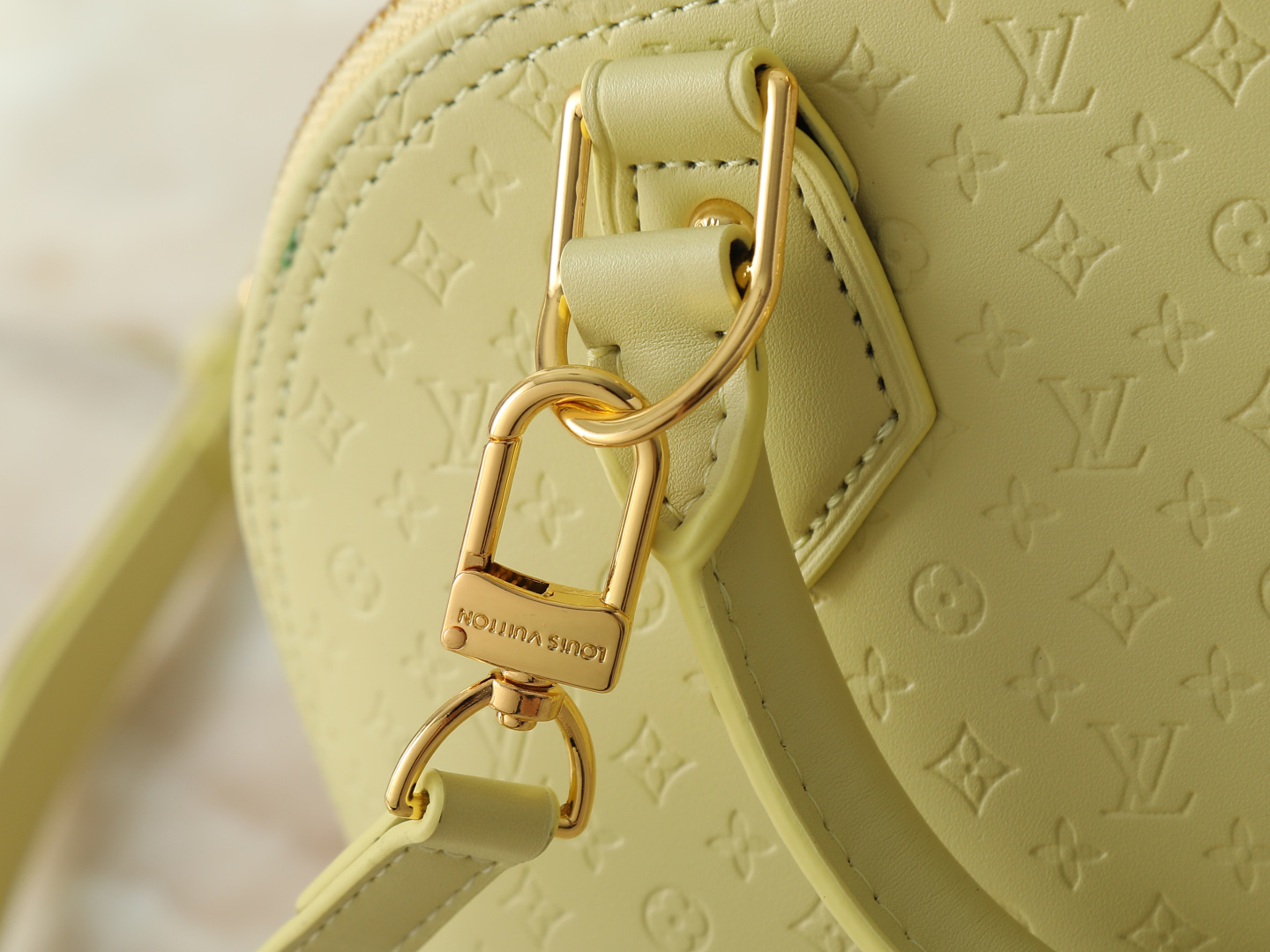 New Luxury LV Bag 12442
