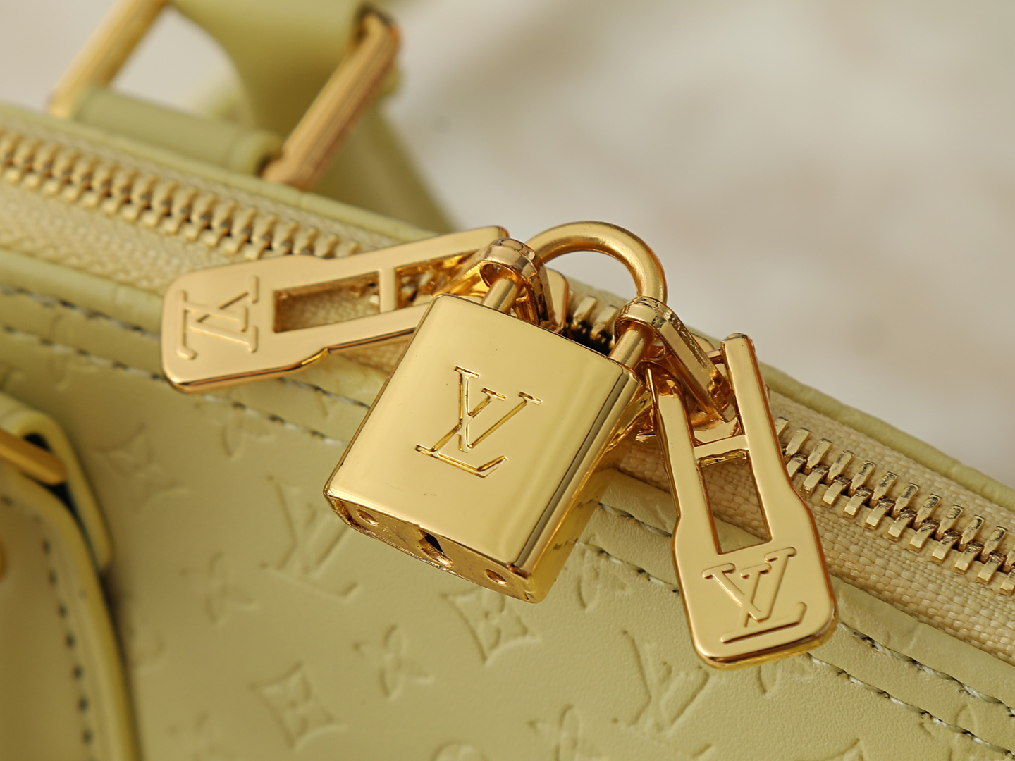New Luxury LV Bag 12442