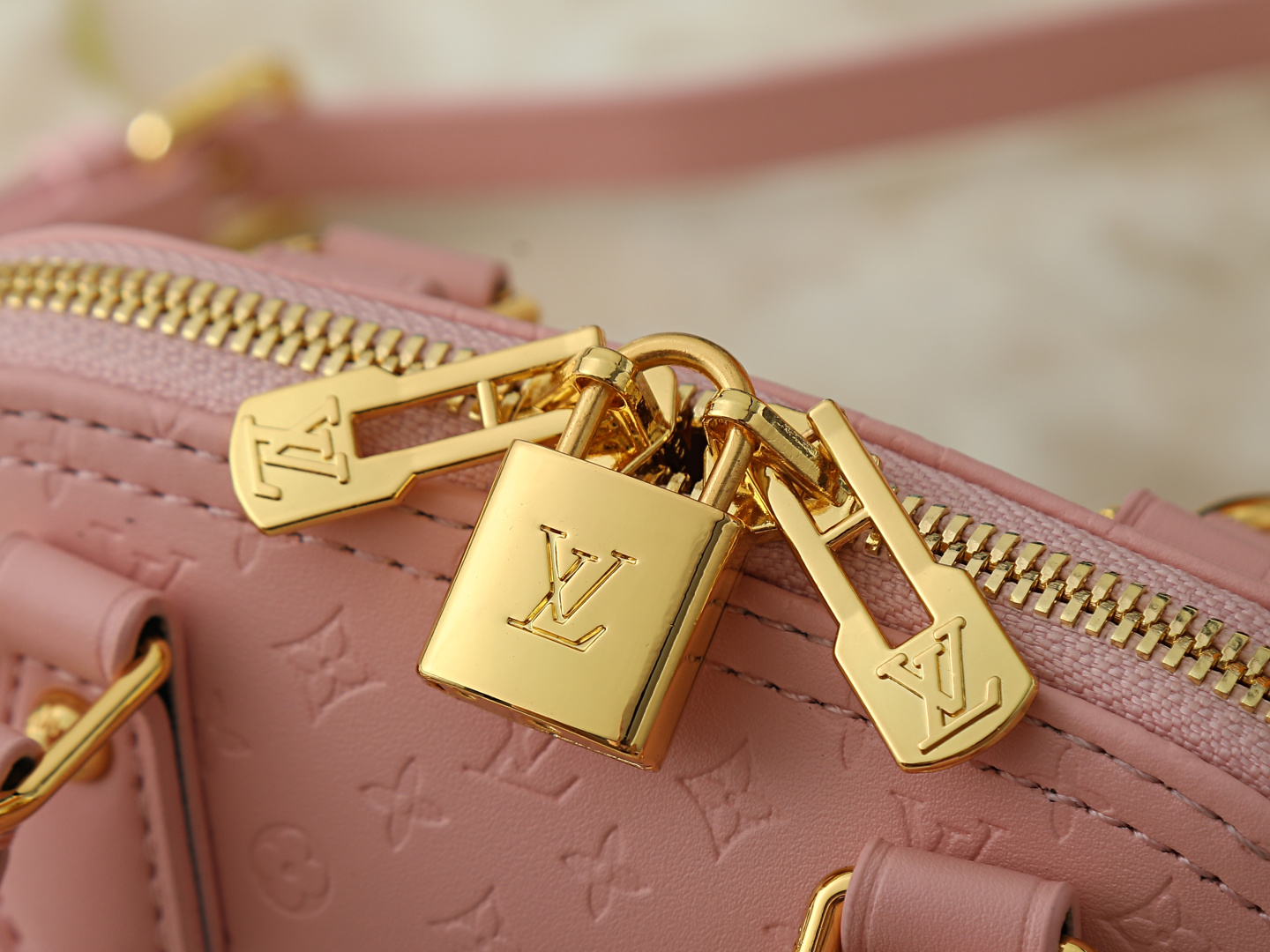 New Luxury LV Bag 12443