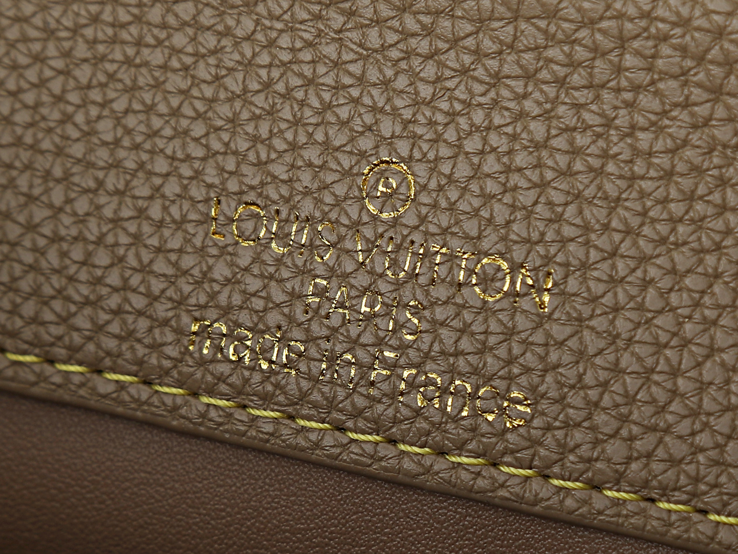 New Luxury LV Bag 12453