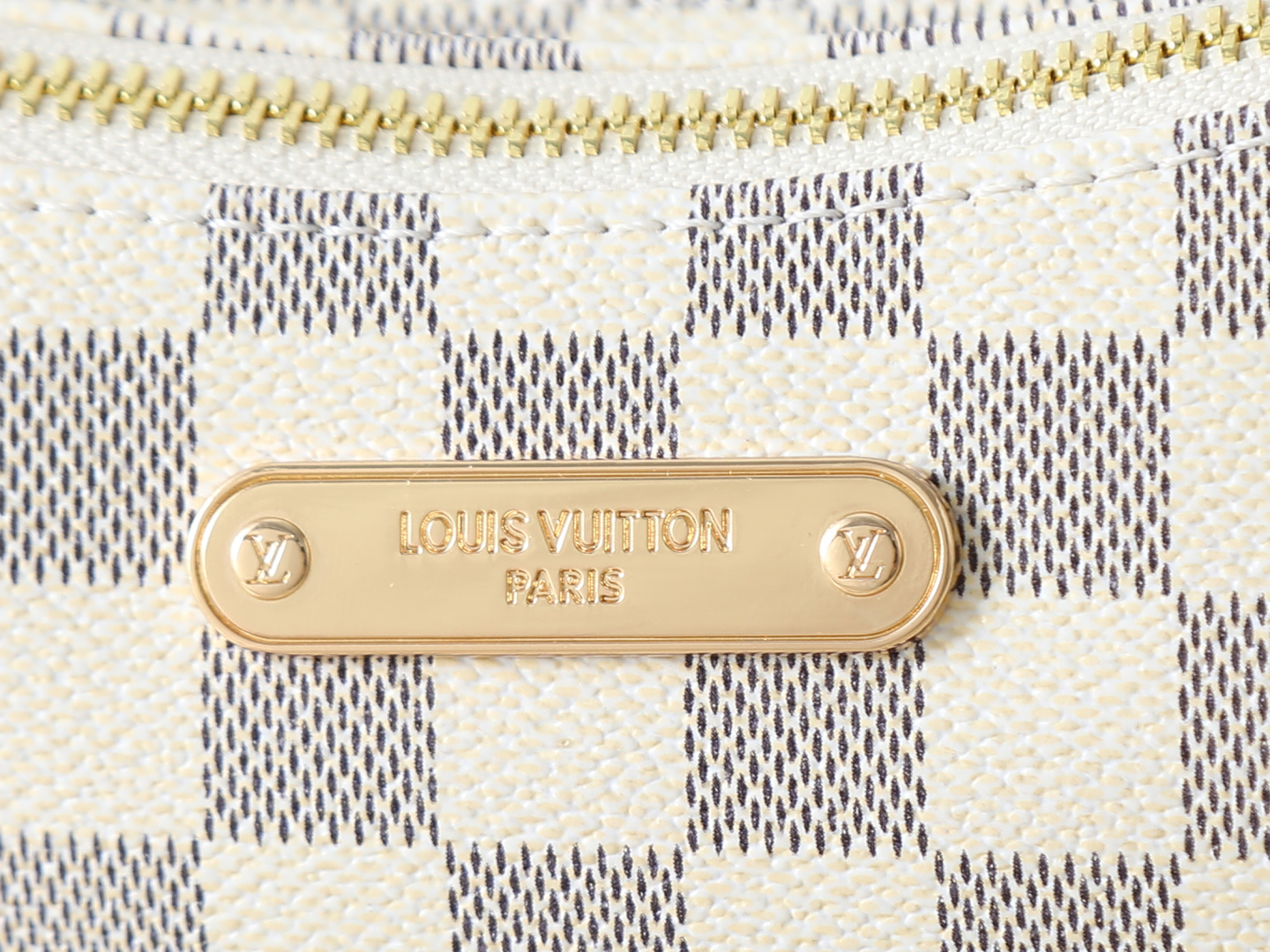New Luxury LV Bag 12529