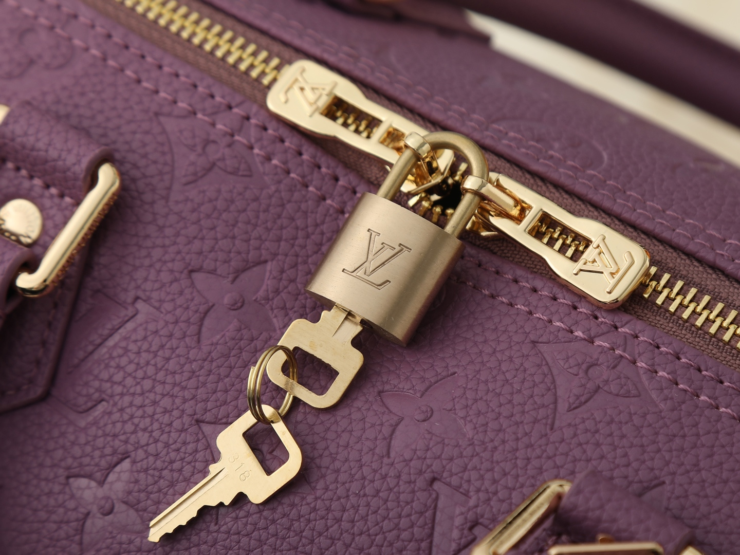 New Luxury LV Bag 12537