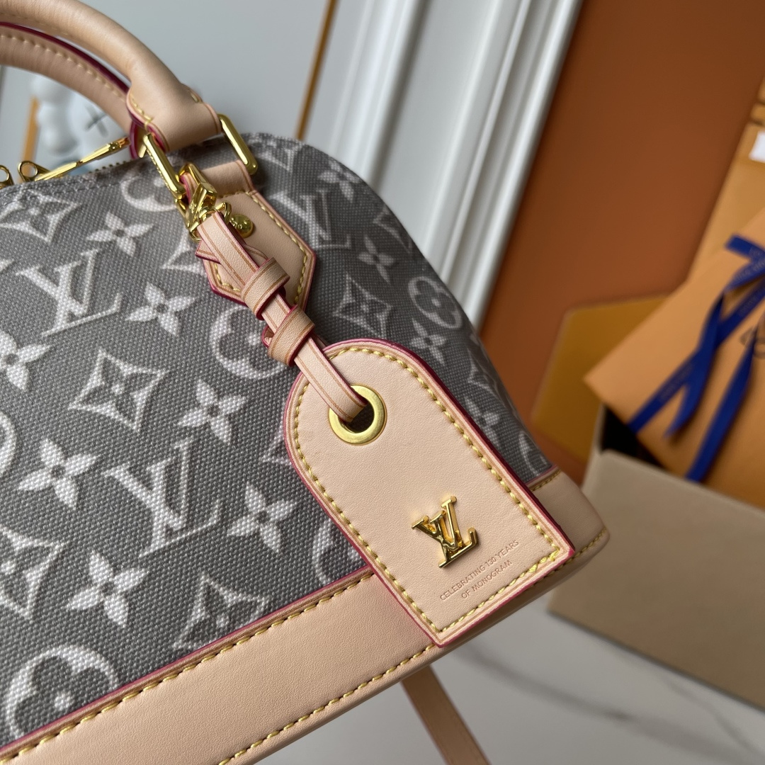 New Luxury LV Bag 12560