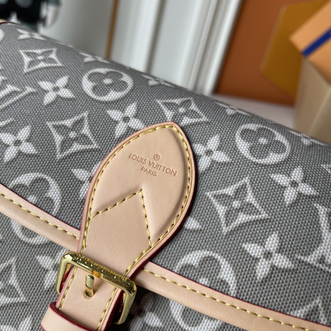 New Luxury LV Bag 12562