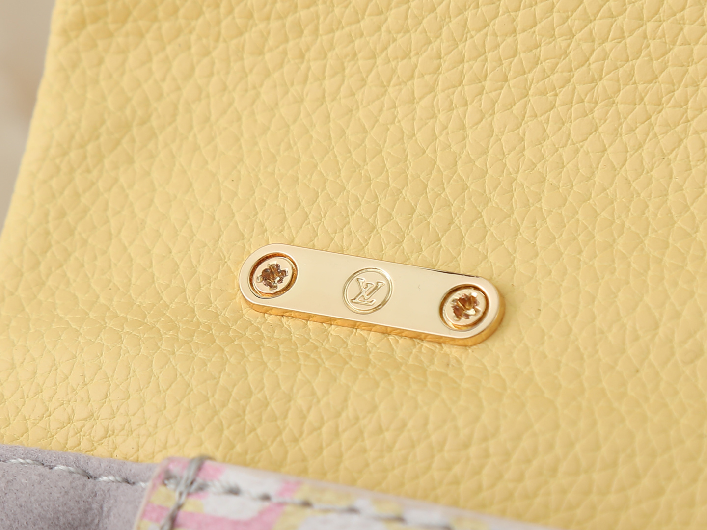 New Luxury LV Bag 12569