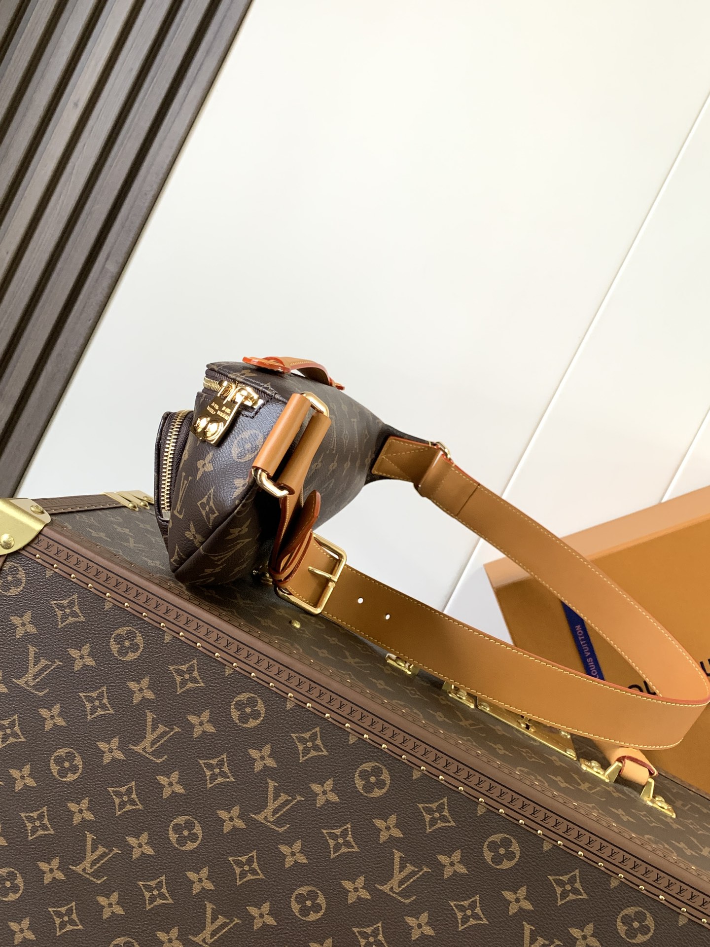 Rush Bumbag G9 Monogram M14019