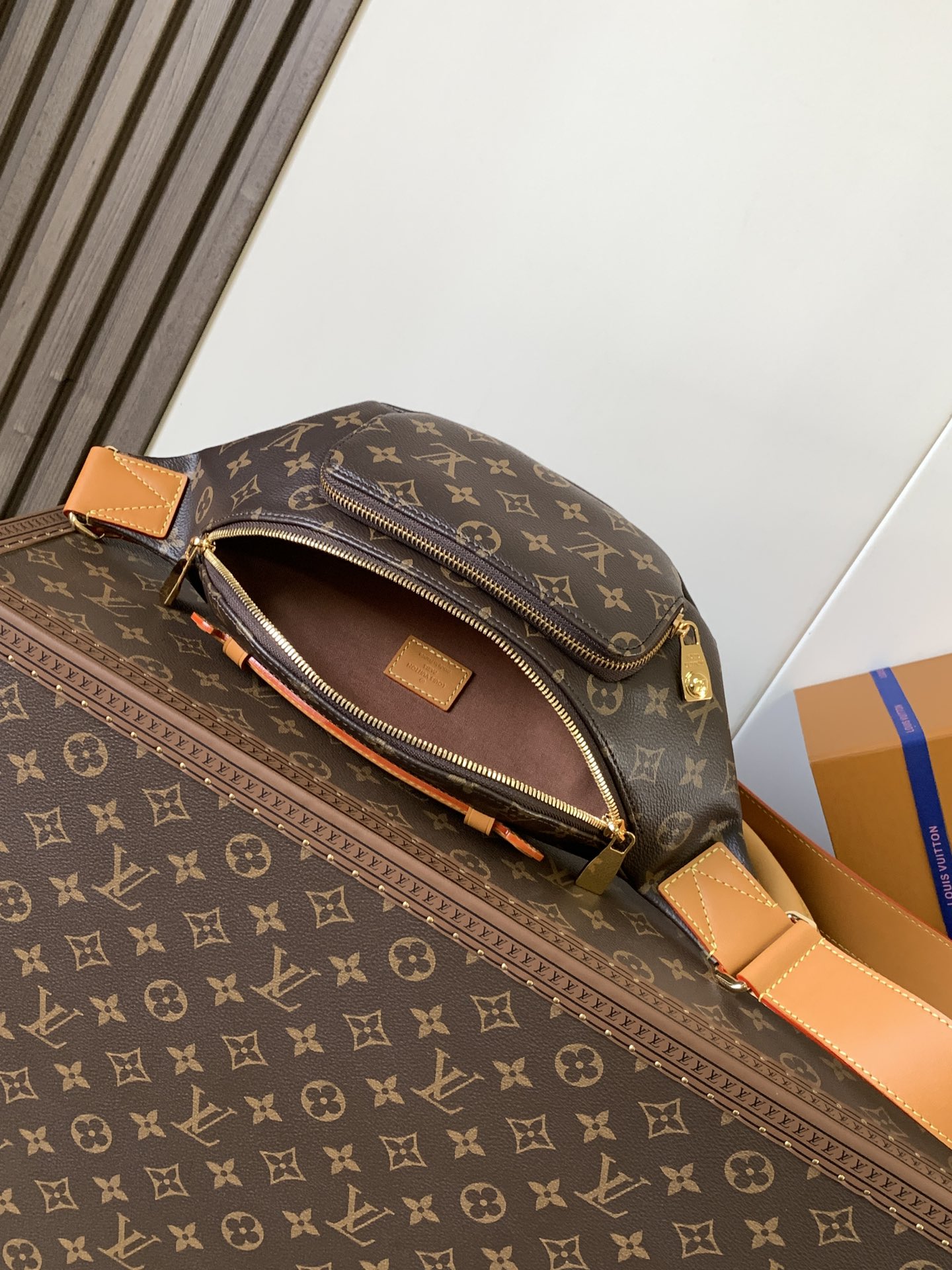 Rush Bumbag G9 Monogram M14019