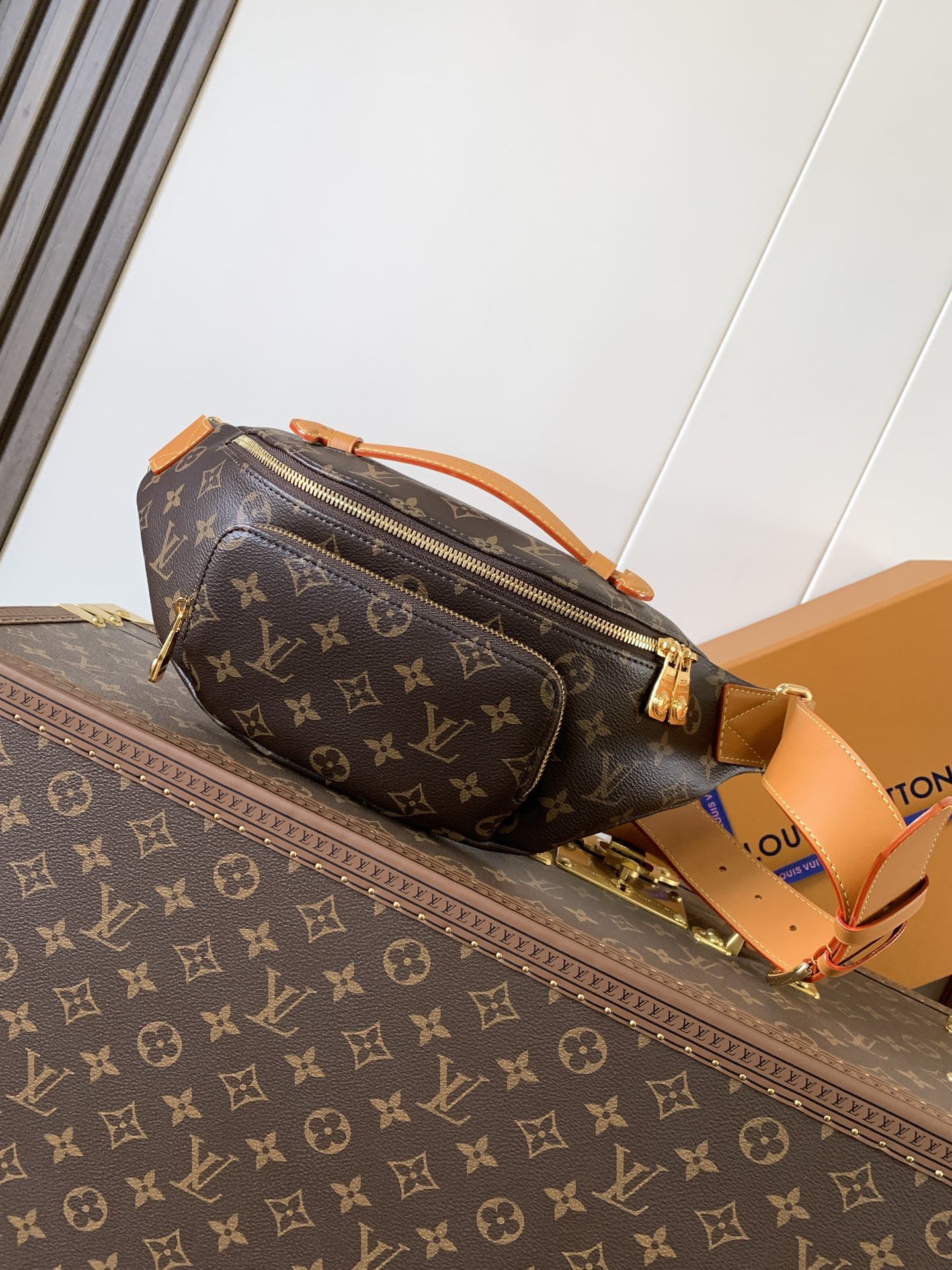 Rush Bumbag G9 Monogram M14019