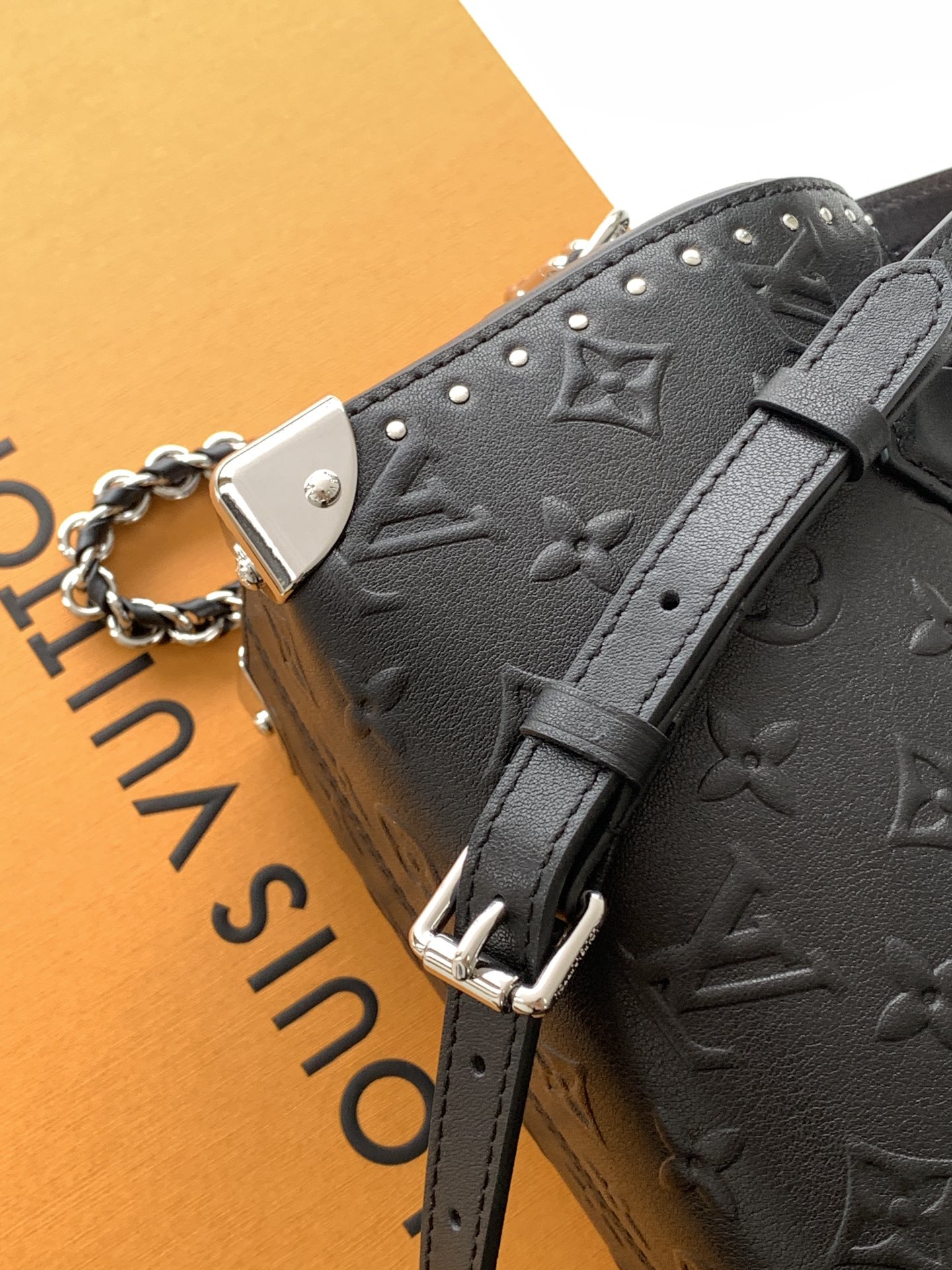 Speedy Trunk 20 Black Calf Leather M14575