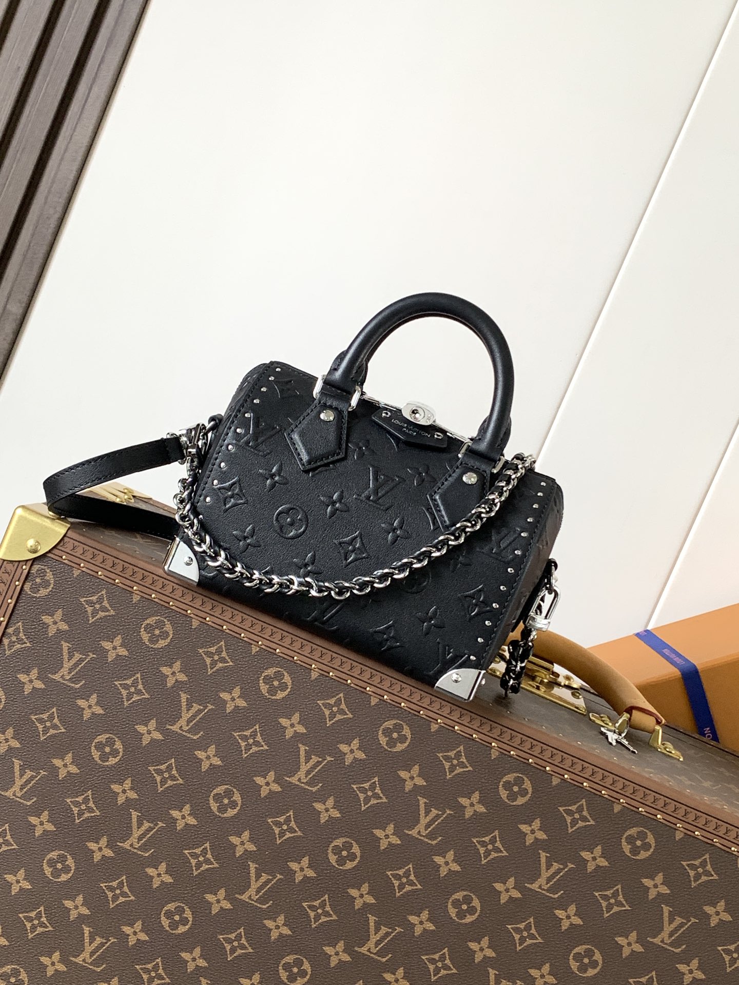 Speedy Trunk 20 Black Calf Leather M14575