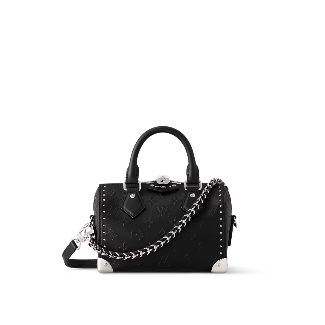 Speedy Trunk 20 Black Calf Leather M14575