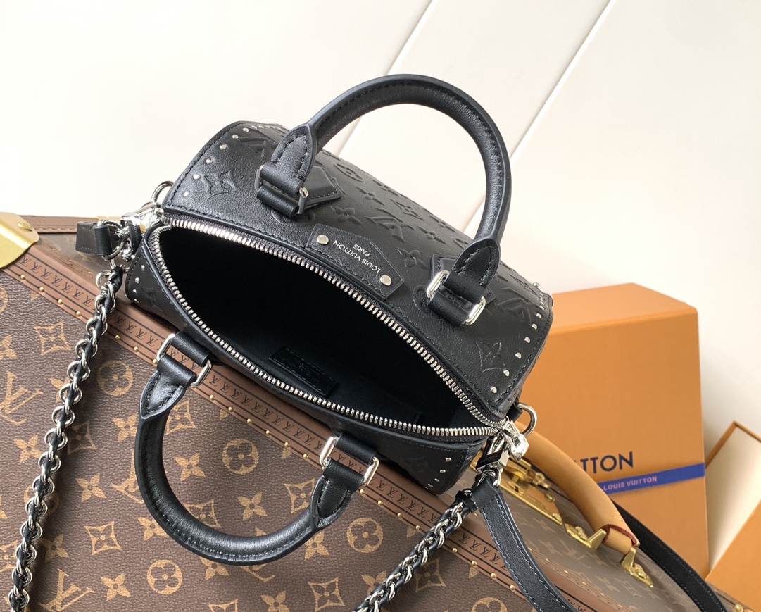 Speedy Trunk 20 Black Calf Leather M14575
