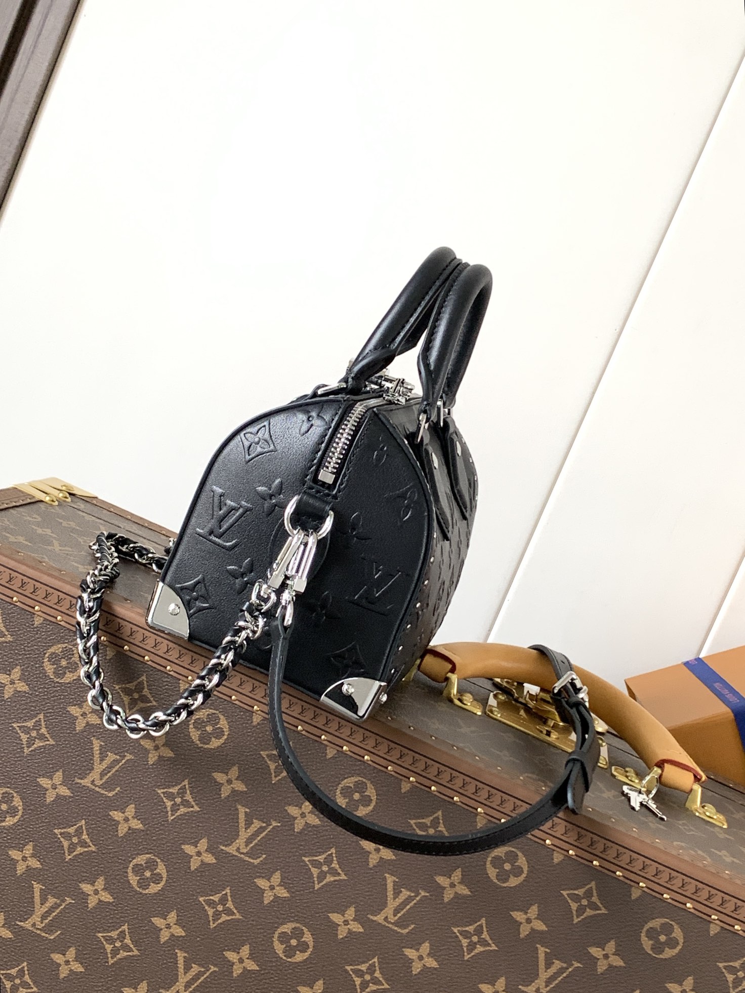 Speedy Trunk 20 Black Calf Leather M14575