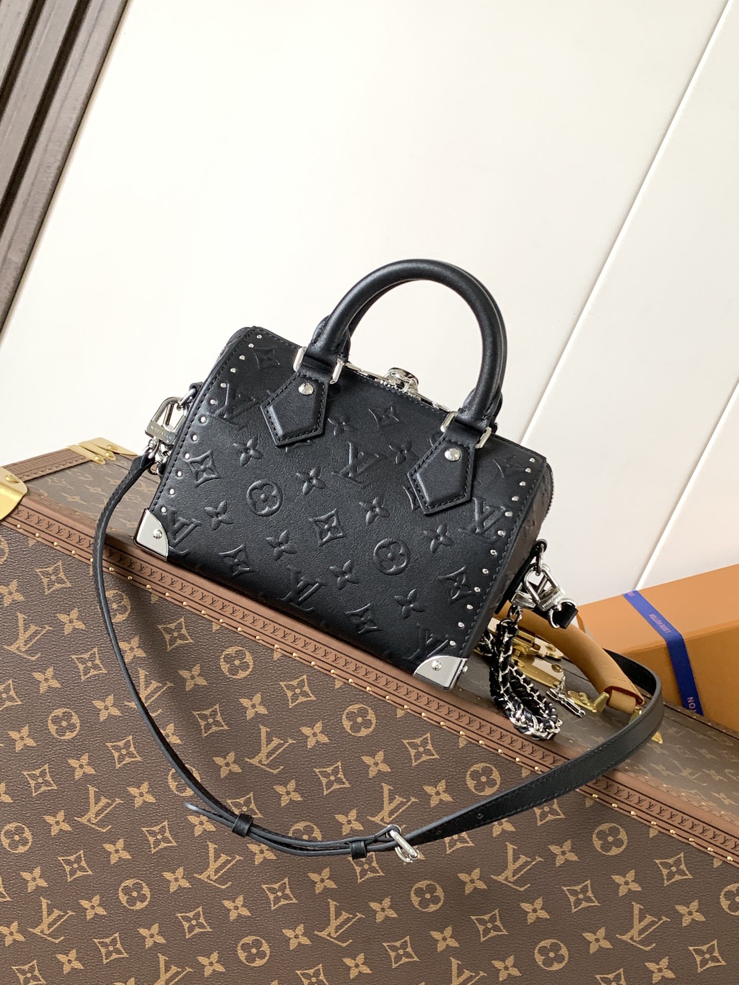 Speedy Trunk 20 Black Calf Leather M14575